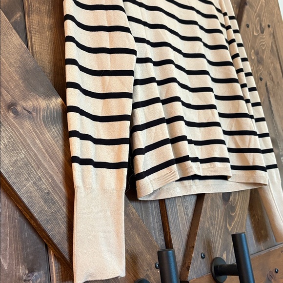 Express Beige and Black Knit Top - Picture 5 of 16